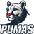 pumas