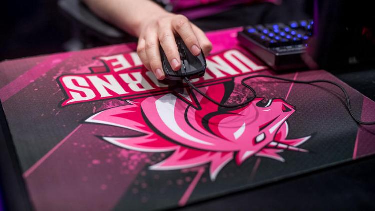 Unicorns of Love, VALORANT için bir alt bölüm açtı