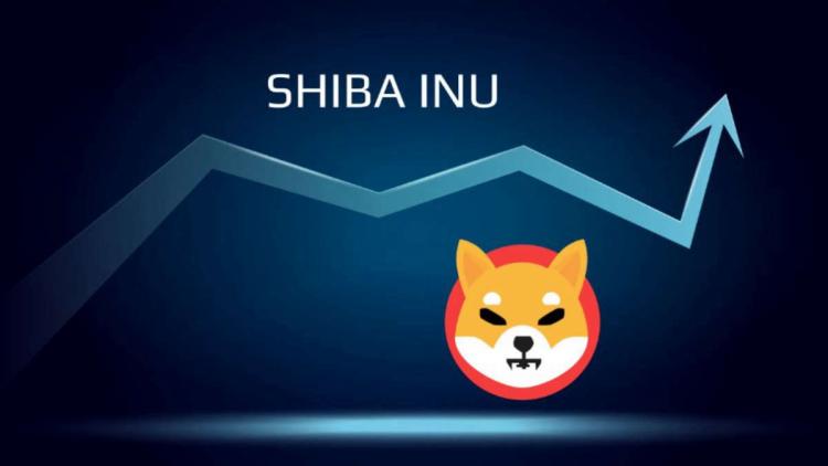 Meme Birikim - Balinalar günde 2.500.000.000.000 Shiba Inu satın aldı