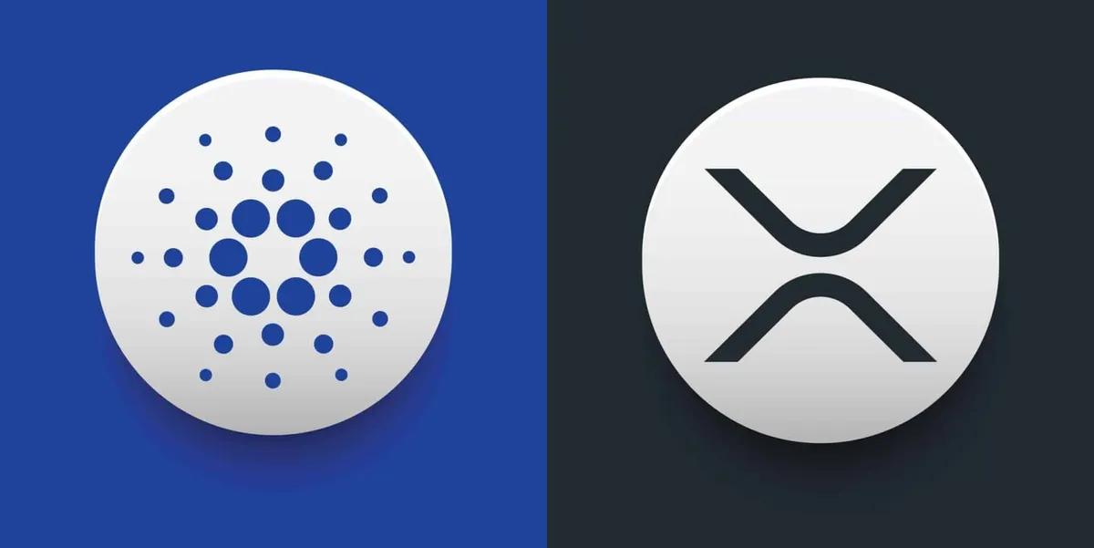 Mike Novogratz, XRP ve Cardano'ya Sert Bir Uyarıda Bulundu