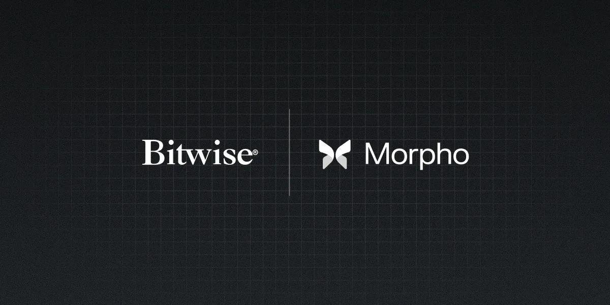Bitwise, Morpho ile Ortaklaşa Zincir Üstü Kasayı Piyasaya Sürüyor