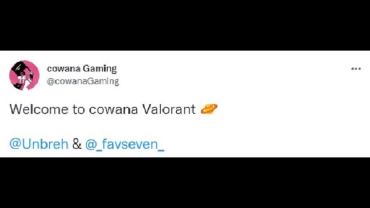 Cowana Gaming Valorant tarihinde iki oyuncuyla sözleşme imzaladı