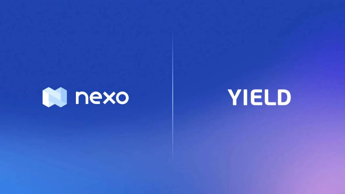 DeFi- platform Nexo dolandırıcılık iddiaları aldı