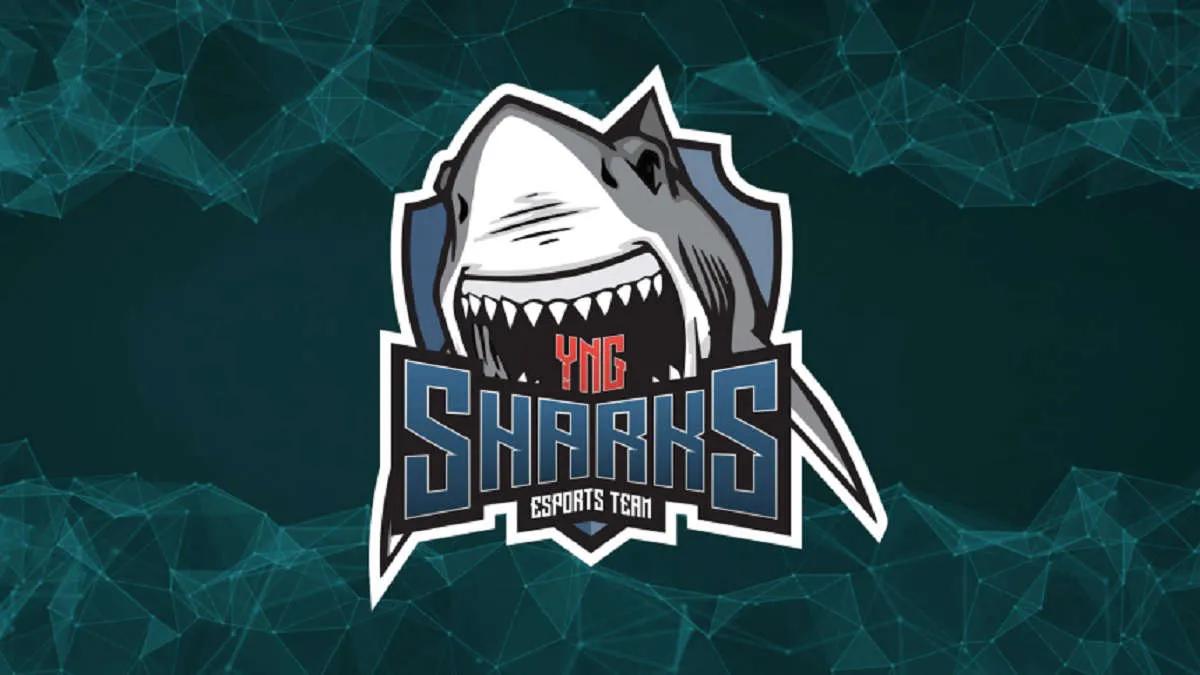 Söylentiler: rdnzao yeni bir oyuncu olacak Sharks Esports