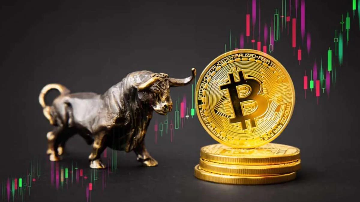 Kurucu XOR strategy: "Bullrun BTC burada başlıyor"