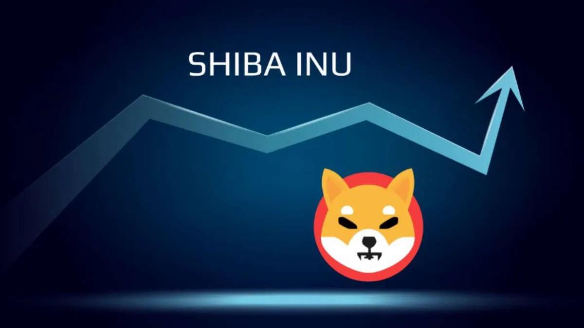 Meme Birikim - Balinalar günde 2.500.000.000.000 Shiba Inu satın aldı