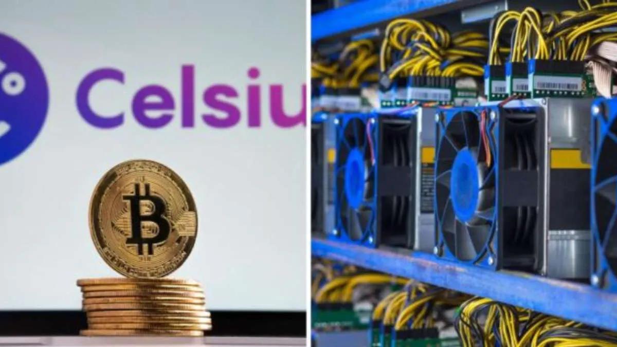 Celsius Network yakında madencilik çiftliklerinin kaderini belirleyecek