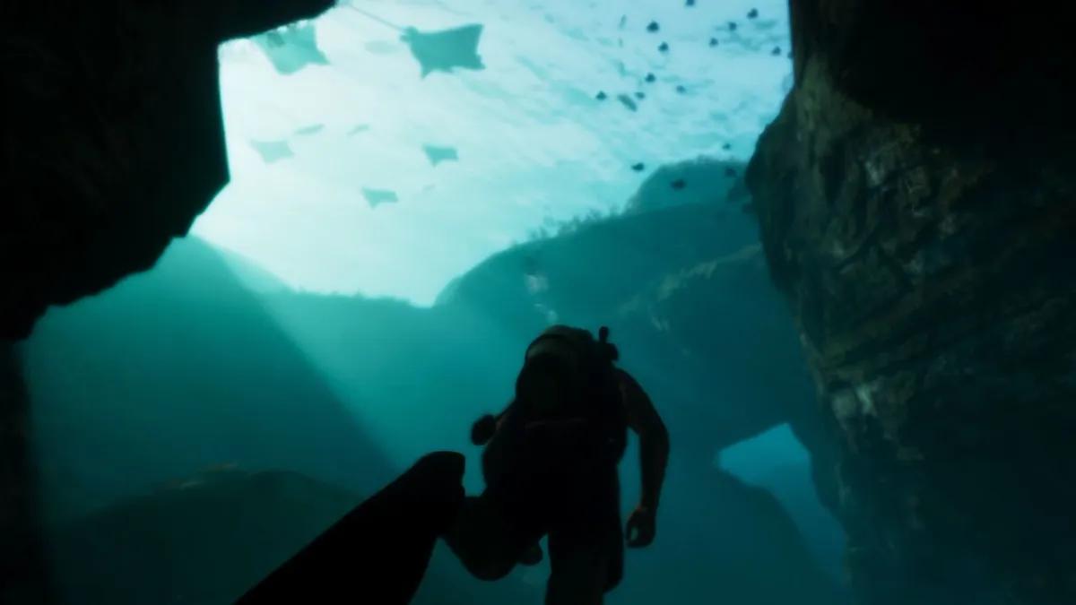 GTA 6'da kendi Miami Seaquarium versiyonu olabilir