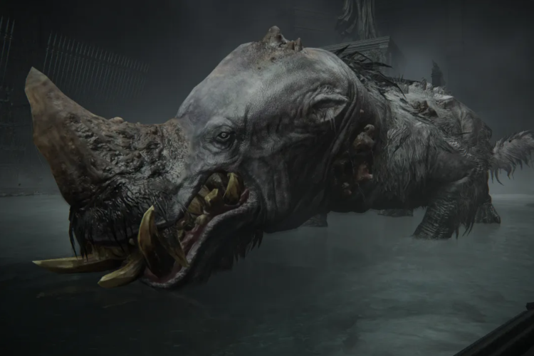 Golden Hippopotamus Is Wrecking Runs in Elden Ring: Nightreign 1